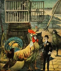 Chantecler, Versdrama von Edmond Rostand, Titelblatt von Le Petit Journal, 30. Januar 1910